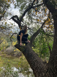 tree