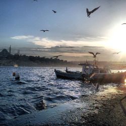 Boats in sea