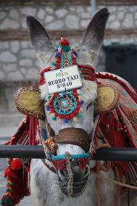 Close-up of traditional equipment against blurred background