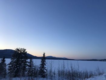 Scenic view of snow covered landscape against clear blue sky