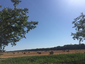 Scenic view of field against clear sky