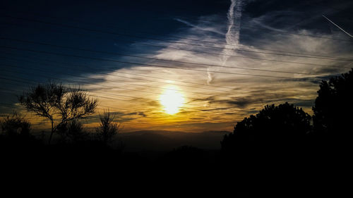 Silhouette of trees at sunset