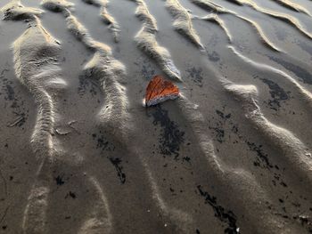 High angle view of a sand