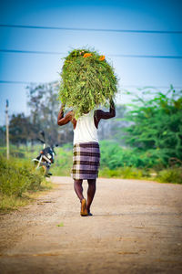 Rear view of farmer carrying crops on head