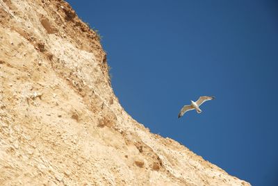 Low angle view of kite flying against clear blue sky