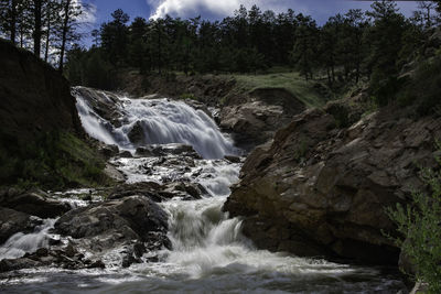 Scenic view of waterfall in forest