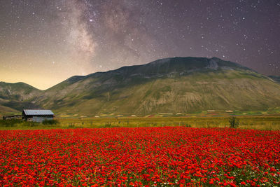 Scenic view of field against sky at night