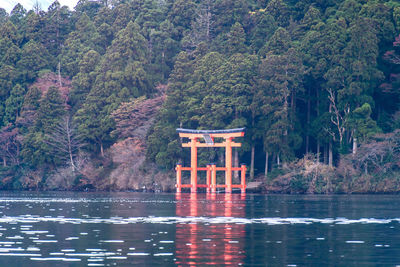 Scenic view of lake in forest