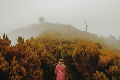 Rear view of woman hiking on mountain against sky, elephant hill in the aberdare ranges, kenya 