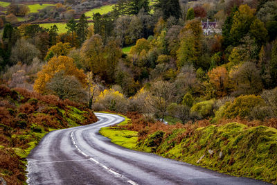 Road passing through forest