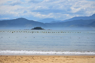 Scenic view of beach against sky