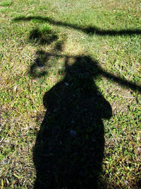 High angle view of shadow on grassy field