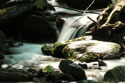 Scenic view of waterfall in forest