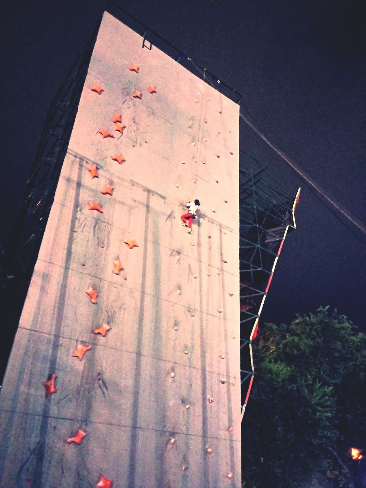 Night climber