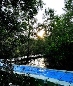 Trees by lake in forest against sky