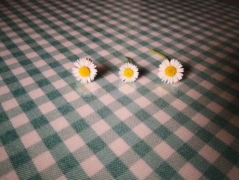 High angle view of yellow flowering plant on floor