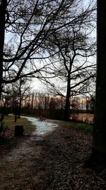 Bare trees on landscape against sky