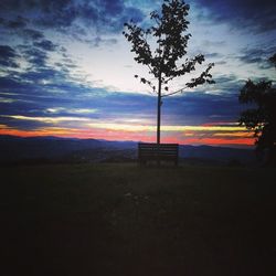 Silhouette tree on field against sky at sunset