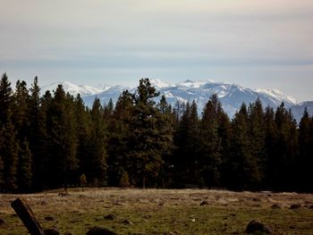 mountain