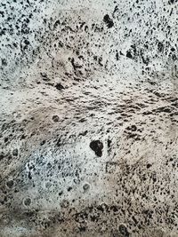 High angle view of footprints on beach