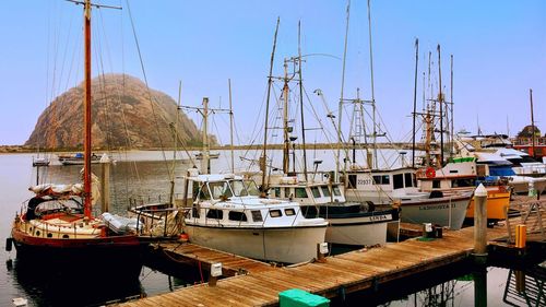 Boats moored at harbor