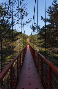 Footbridge amidst trees in forest against sky