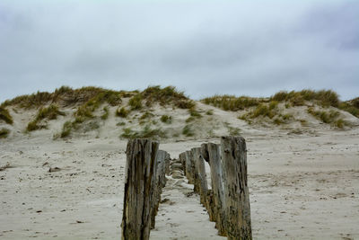 Wooden posts on beach against sky