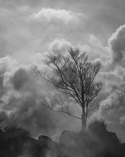 Low angle view of bare trees against cloudy sky