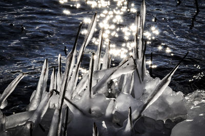 Close-up of frozen water in lake