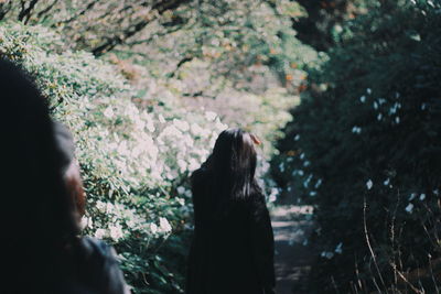 Rear view of people standing by trees in forest