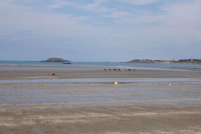 Scenic view of beach against sky