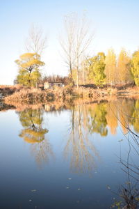 Reflection of trees in lake against sky