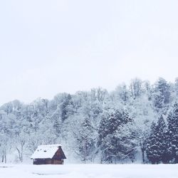 Scenic view of snow covered landscape