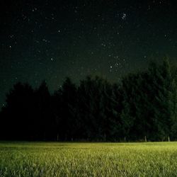 Scenic view of field against sky at night