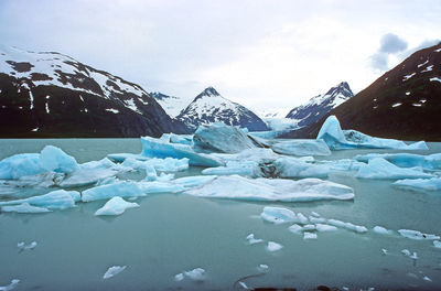 Icebergs in a glacial lake at the portage glacier in alaska