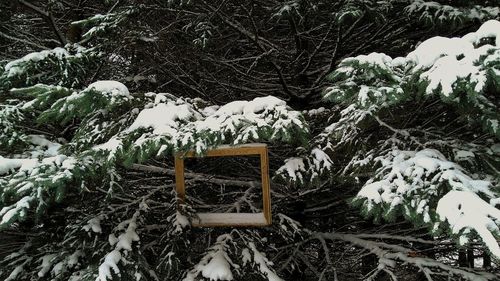 High angle view of snow on tree during winter