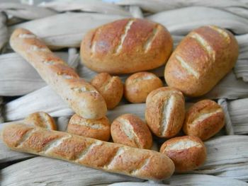 Close-up of food