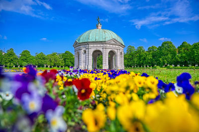 View of flowering plants against blue sky