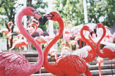 Close-up of flamingo sculpture outdoors