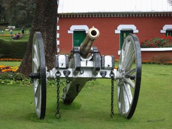 Horse cart in lawn by building
