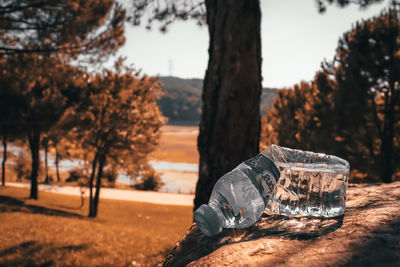 Close-up of empty glass on table against trees