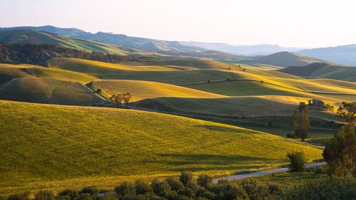 Picteresque landscape scenery of sicilian grassland