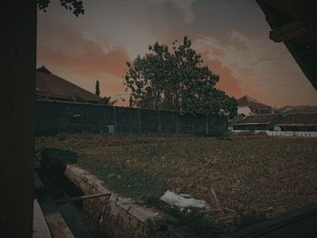 Plants and buildings against sky during sunset