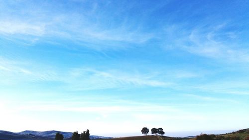 Scenic view of landscape against blue sky