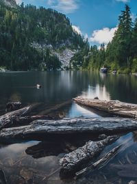 Logs in lake against mountain during sunny day