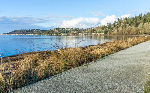 A view of the west seattle shoreline from lincoln park.