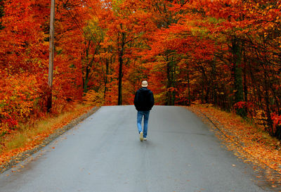 Rear view of man walking on road amidst autumn trees