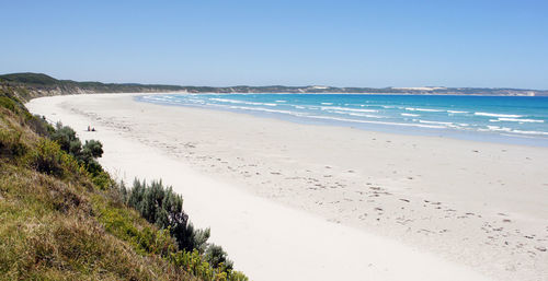 Scenic view of beach against clear sky