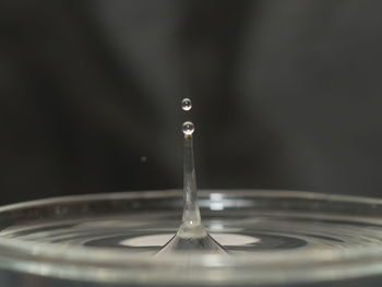 Close-up of water splashing against black background