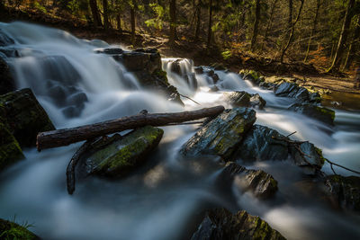 View of waterfall in forest